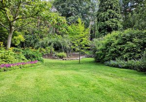 Optimiser l'expérience du jardin à Boissy-Lamberville